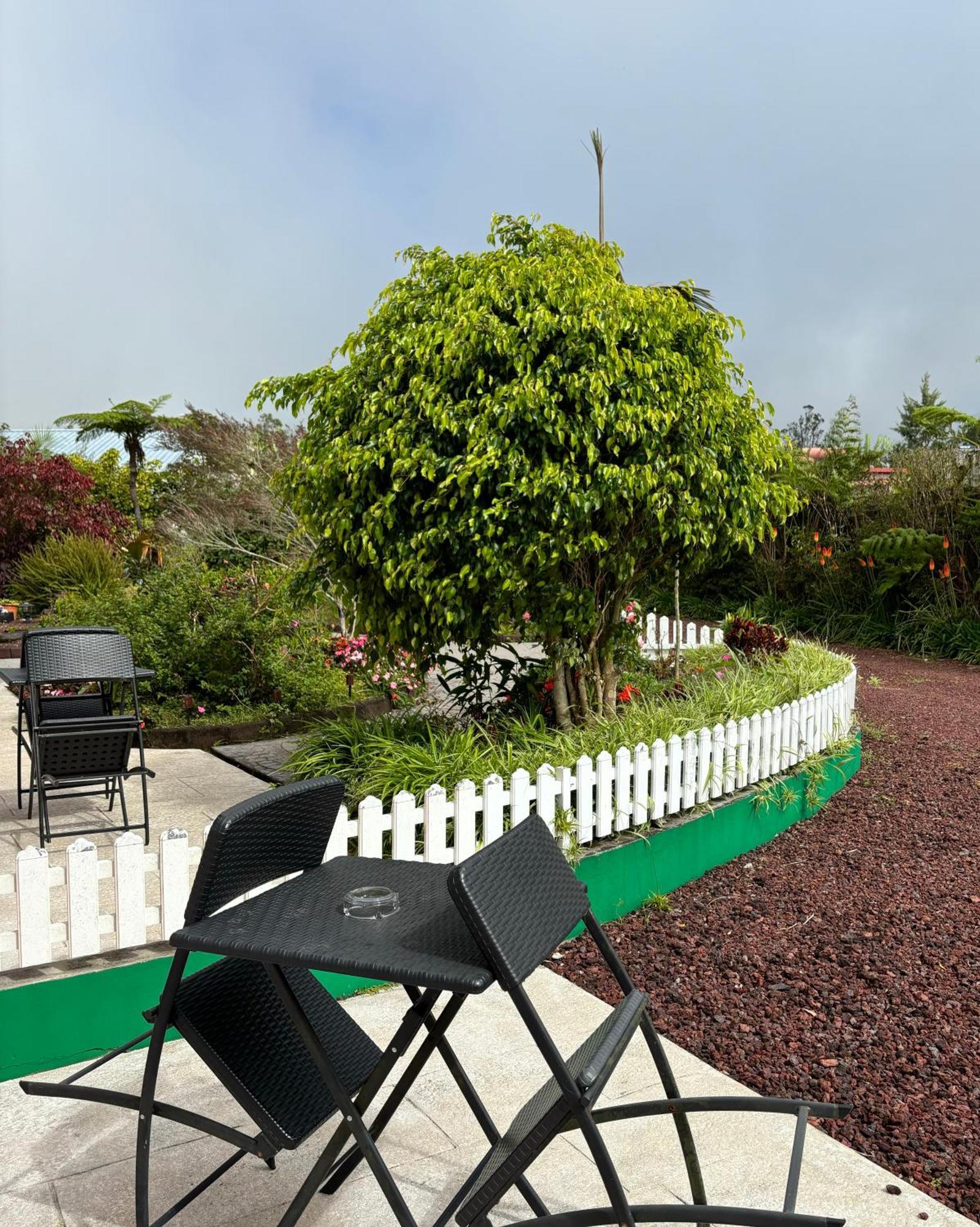 L'Echelle Bed & Breakfast La Plaine des Palmistes Exterior photo